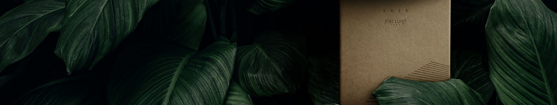 topbanner